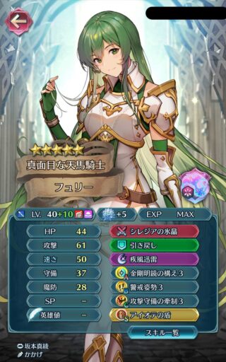 【FEH】ファリナのような近接飛行キャラのBスキルってどうしてる？？ 見切りも凪も持てないわけだが何を持たせるべきなのだろうか