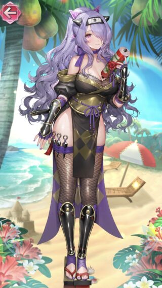 【FEH】ファイアーエムブレム硬派王国vs軟派王国