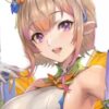 【FEH】もしもピアニーの髪のエビフライ？クロワッサン？が無ければ今の3倍は人気が出ていた……？